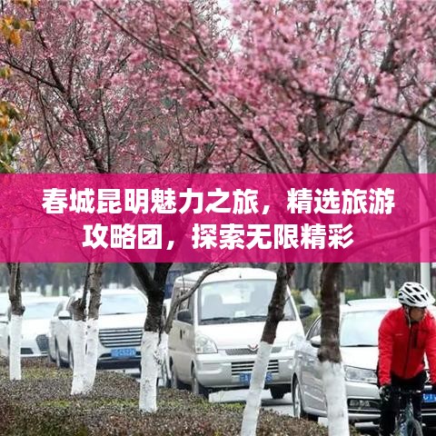 春城昆明魅力之旅，精选旅游攻略团，探索无限精彩