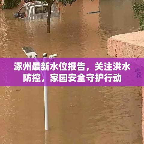 涿州最新水位报告，关注洪水防控，家园安全守护行动