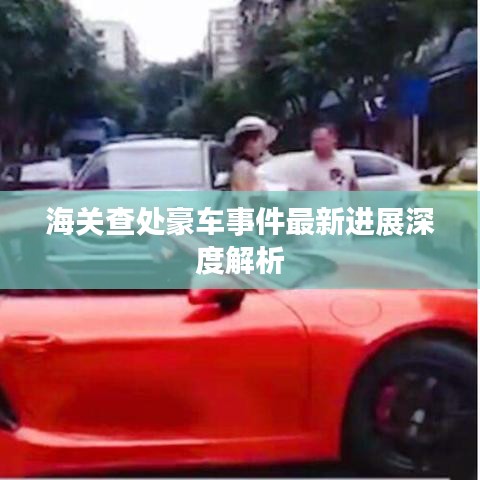 海关查处豪车事件最新进展深度解析