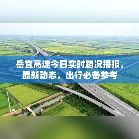 岳宜高速今日实时路况播报，最新动态，出行必备参考