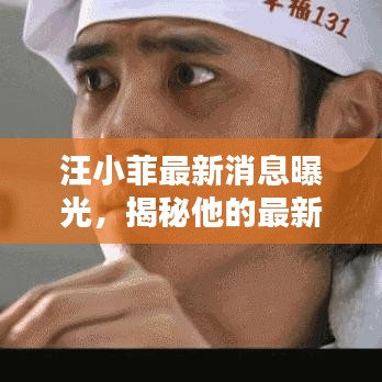 汪小菲最新消息曝光，揭秘他的最新动态与热议焦点