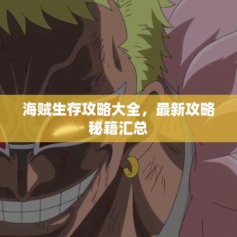 海贼生存攻略大全，最新攻略秘籍汇总