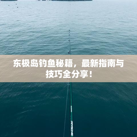 东极岛钓鱼秘籍，最新指南与技巧全分享！