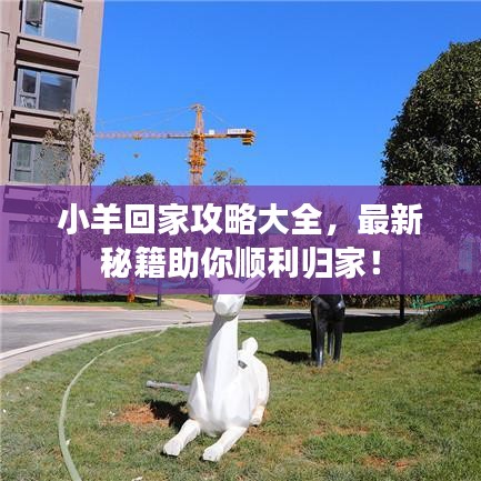 小羊回家攻略大全，最新秘籍助你顺利归家！