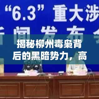 揭秘柳州毒枭背后的黑暗势力，高清图片曝光