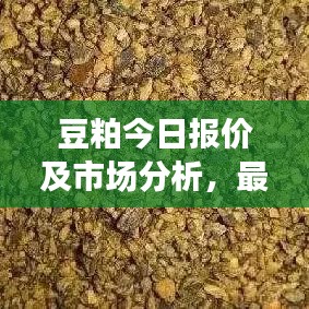 豆粕今日报价及市场分析，最新价格与趋势预测