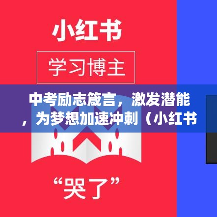 2025年6月11日 第10页