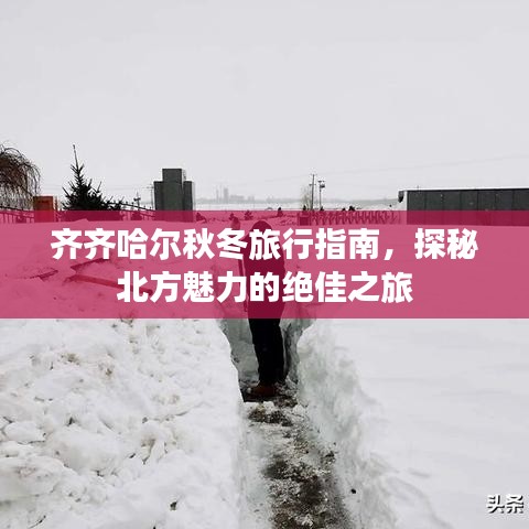 2025年6月11日 第8页