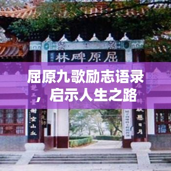 2025年6月11日 第6页