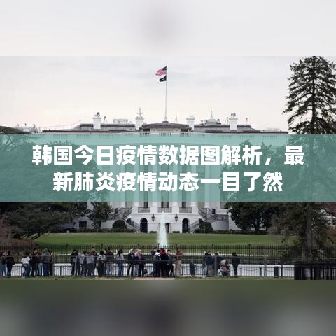 2025年6月12日 第33页