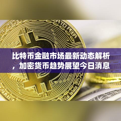 2025年6月12日 第28页