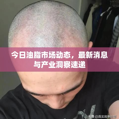 2025年6月12日 第22页
