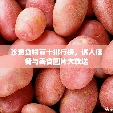 珍贵食物前十排行榜，诱人佳肴与美食图片大放送