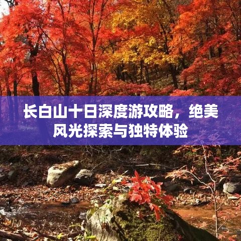 长白山十日深度游攻略，绝美风光探索与独特体验