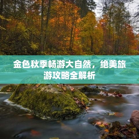 金色秋季畅游大自然，绝美旅游攻略全解析