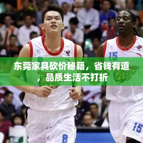 东莞家具砍价秘籍，省钱有道，品质生活不打折