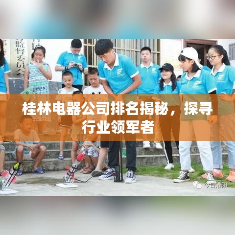 桂林电器公司排名揭秘，探寻行业领军者