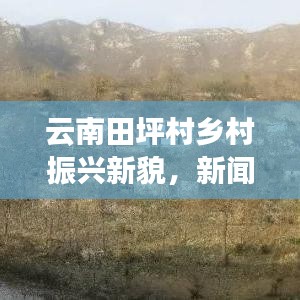 云南田坪村乡村振兴新貌，新闻头条聚焦社区发展