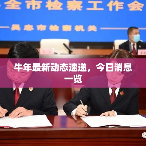 牛年最新动态速递，今日消息一览