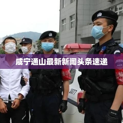 咸宁通山最新新闻头条速递
