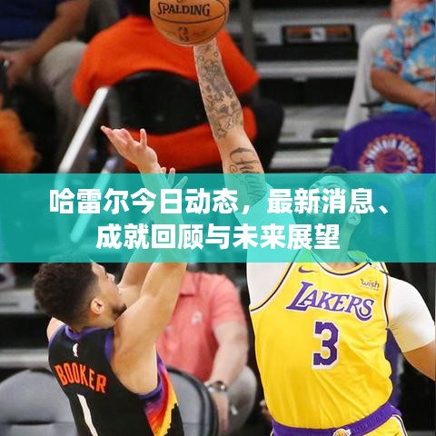 哈雷尔今日动态，最新消息、成就回顾与未来展望