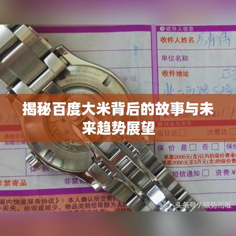 揭秘百度大米背后的故事与未来趋势展望
