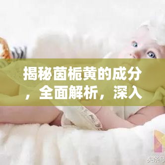揭秘茵栀黄的成分，全面解析，深入了解！百度带你探索真相