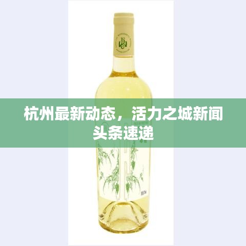 杭州最新动态，活力之城新闻头条速递
