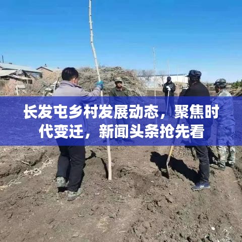 长发屯乡村发展动态，聚焦时代变迁，新闻头条抢先看