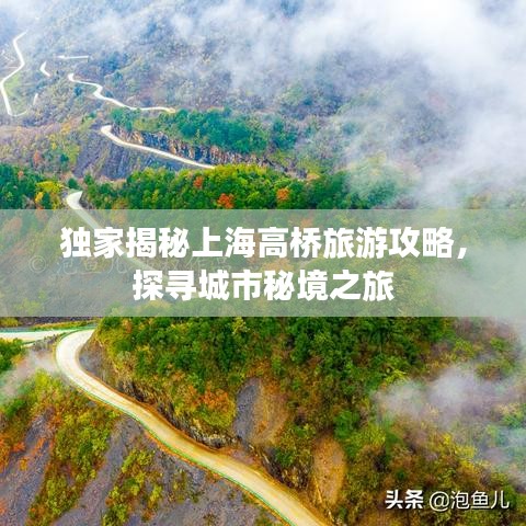 独家揭秘上海高桥旅游攻略，探寻城市秘境之旅