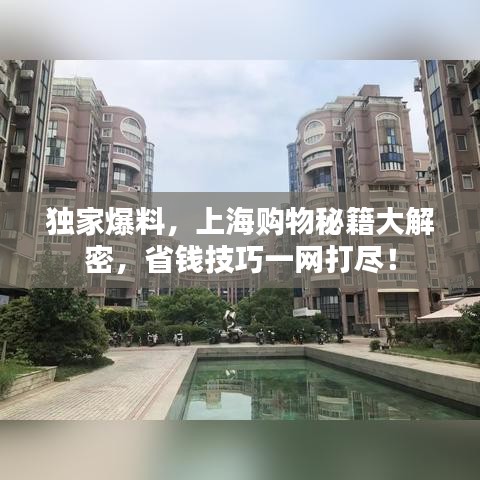 独家爆料，上海购物秘籍大解密，省钱技巧一网打尽！