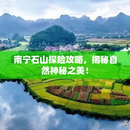 南宁石山探险攻略，揭秘自然神秘之美！