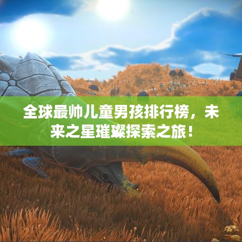 全球最帅儿童男孩排行榜，未来之星璀璨探索之旅！