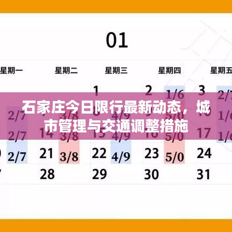 石家庄今日限行最新动态，城市管理与交通调整措施