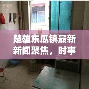 楚雄东瓜镇最新新闻聚焦，时事热点本土声音传递