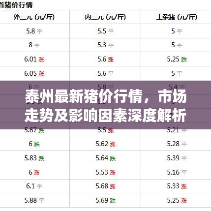 泰州最新猪价行情，市场走势及影响因素深度解析