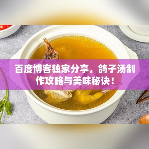 百度博客独家分享，鸽子汤制作攻略与美味秘诀！