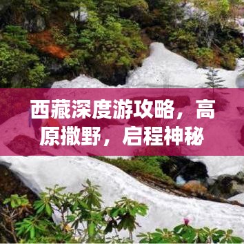 朴素无华 第2页