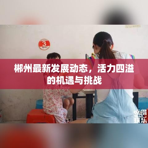 郴州最新发展动态，活力四溢的机遇与挑战