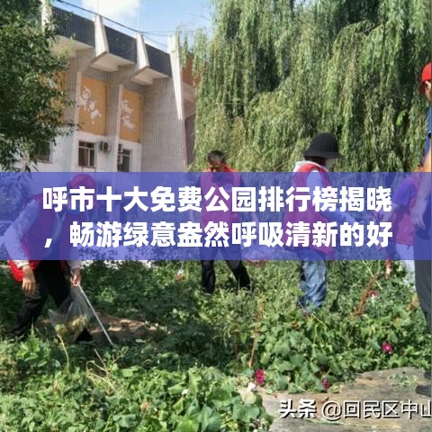 呼市十大免费公园排行榜揭晓，畅游绿意盎然呼吸清新的好去处