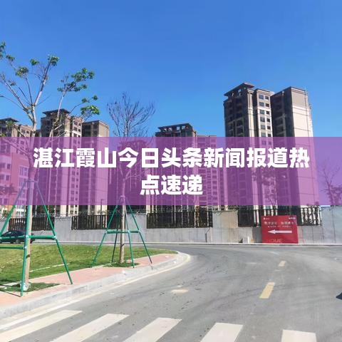 湛江霞山今日头条新闻报道热点速递