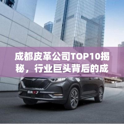 成都皮革公司TOP10揭秘，行业巨头背后的成功故事解读