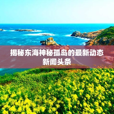 揭秘东海神秘孤岛的最新动态新闻头条