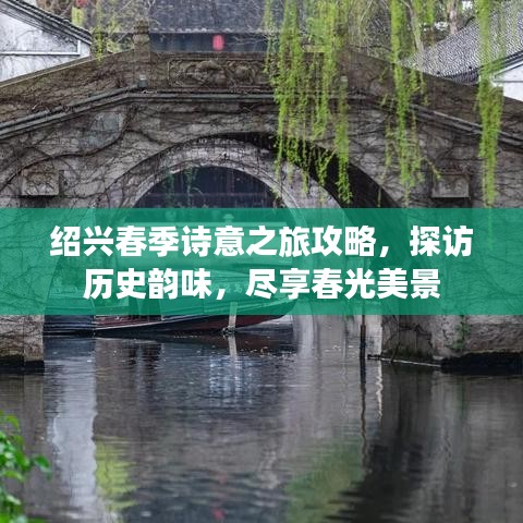 2025年6月15日 第3页