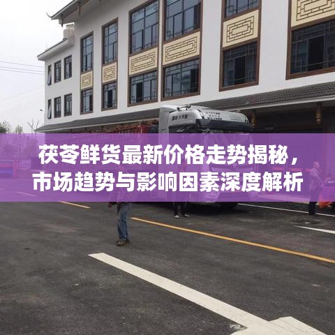 茯苓鲜货最新价格走势揭秘，市场趋势与影响因素深度解析