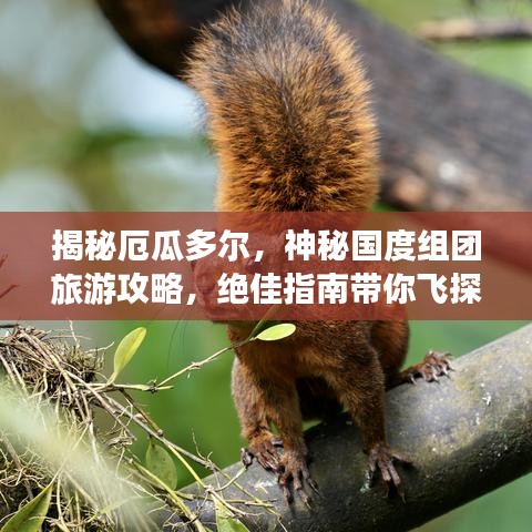揭秘厄瓜多尔，神秘国度组团旅游攻略，绝佳指南带你飞探秘境！