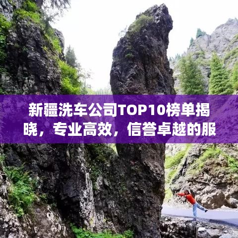 新疆洗车公司TOP10榜单揭晓，专业高效，信誉卓越的服务商