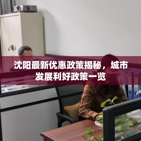 沈阳最新优惠政策揭秘，城市发展利好政策一览