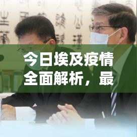 今日埃及疫情全面解析，最新动态与应对建议