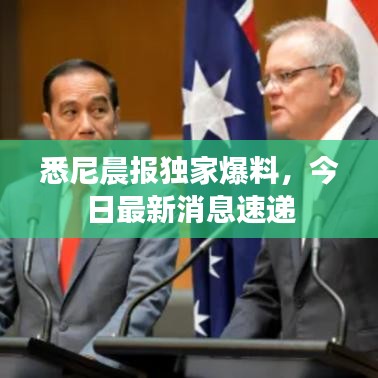 悉尼晨报独家爆料，今日最新消息速递